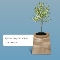 Мешок джутовый, 74 × 100 см, плотность 26 × 26 нитей, без завязок, Greengo