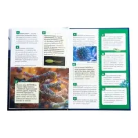 Энциклопедия российского школьника &laquo;Микромир&raquo;