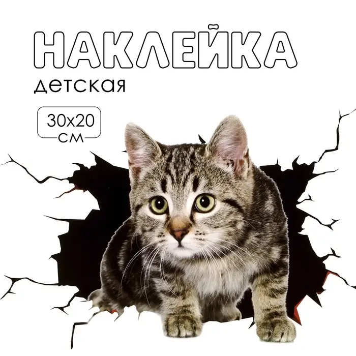 Наклейка интерьерная 3Д TAKE IT EASY &laquo;Котик&raquo;, 30&times;20 см