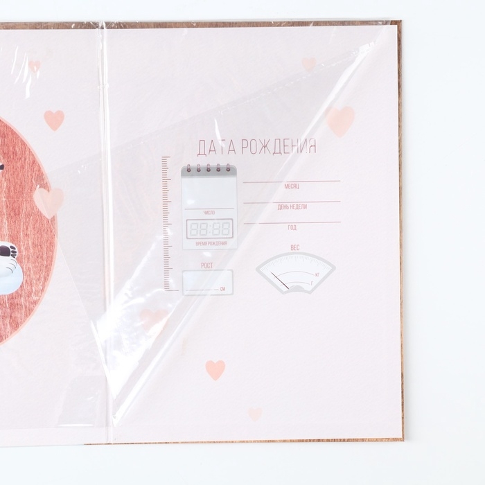 Папка для свидетельства о рождении Папка для свидетельства о рождении "Мама и малыш", медведи, 23 х 17 см