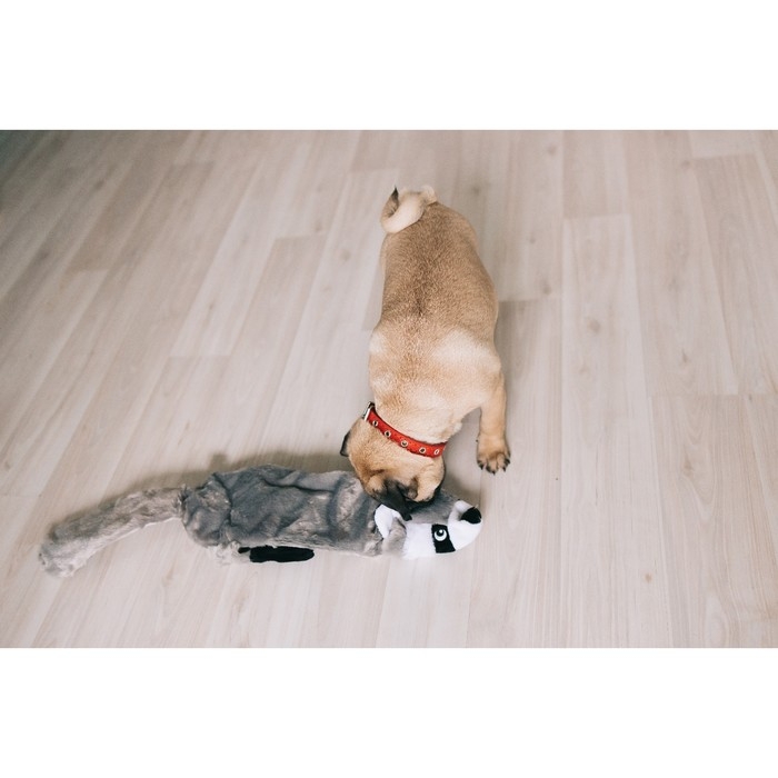 Игрушка текстильная Игрушка текстильная "Енот", 60 х 31 см