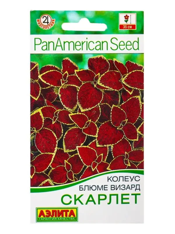 Набор семян цветов Колеус