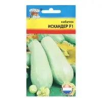 Набор семян Кабачок "Искандер", 4 шт. Набор семян Кабачок "Искандер", 4 шт.