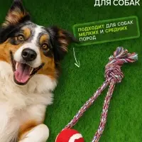 Игрушка канатная &laquo;Вираж&raquo;, с мячом, до 135 г, до 37 см, цвет МИКС