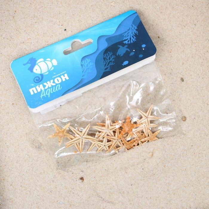 Набор натуральных морских звезд,  1,5 - 2,5 см, 20 шт Набор натуральных морских звезд,  1,5 - 2,5 см, 20 шт