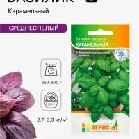 Семена Базилик овощной &laquo;Карамельный&raquo;, 1 г, &laquo;Агрос&raquo;