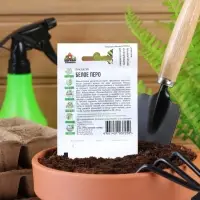 Семена Лук на зелень "Белое перо", ц/п,  0,5 г  серия ХИТ х3 Семена Лук на зелень "Белое перо", ц/п,  0,5 г  серия ХИТ х3