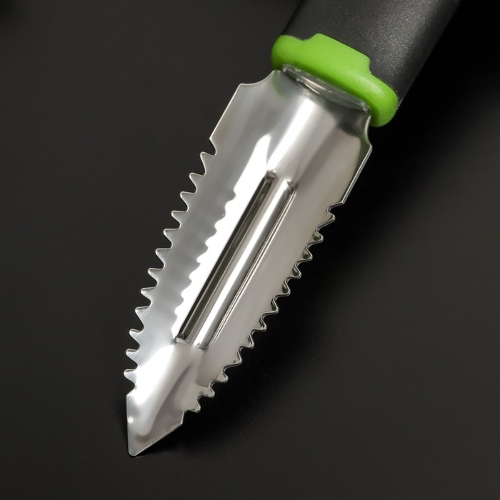 Рыбочистка Доляна Lime, 19×2,5 см, цвет чёрно-зелёный Рыбочистка Доляна Lime, 19×2,5 см, цвет чёрно-зелёный