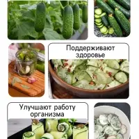 Семена Огурец &laquo;Санькина Любовь&raquo;, F1, супербукетный тип, партенокарпический, 7 шт., &laquo;Уральский дачник&raquo;