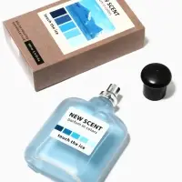 Туалетная вода мужская New Scent Touch The Ice, 100 мл