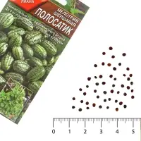 Семена Мелотрия шершавая &laquo;Полосатик&raquo;