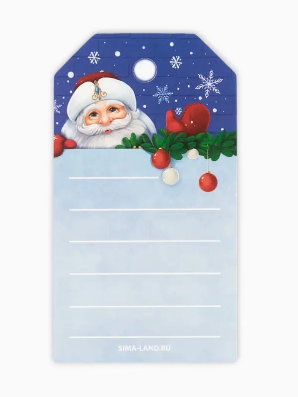 Шильдик декоративный в наборе «С Новым годом!», 9 х 5 см