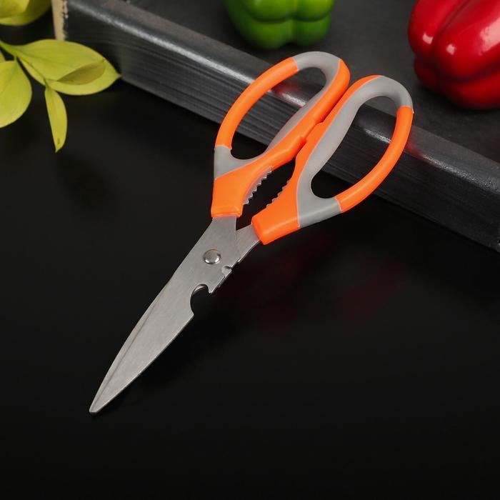 Ножницы кухонные Доляна «Драйв», 22 см, с открывалкой для бутылки, цвет МИКС Ножницы кухонные Доляна «Драйв», 22 см, с открывалкой для бутылки, цвет МИКС