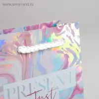 Пакет подарочный голографический, упаковка, «Present», 12 х 15 х 5.5 см Пакет подарочный голографический, упаковка, «Present», 12 х 15 х 5.5 см