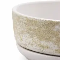 Горшок бонсайница 0,6 л, 15×5,5 см  для кактусов и суккулентов белый, керамика "НАВИ"