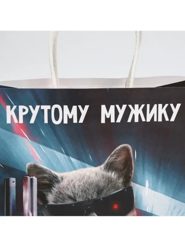 Пакет подарочный, упаковка, &laquo;Мужику&raquo;, 22 х 22 х 11 см