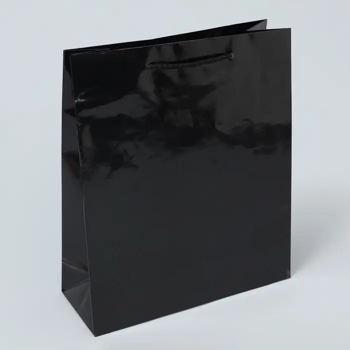 Пакет подарочный ламинированный, упаковка, «Чёрный», ML 21 х 25 х 8 см Пакет подарочный ламинированный, упаковка, «Чёрный», ML 21 х 25 х 8 см