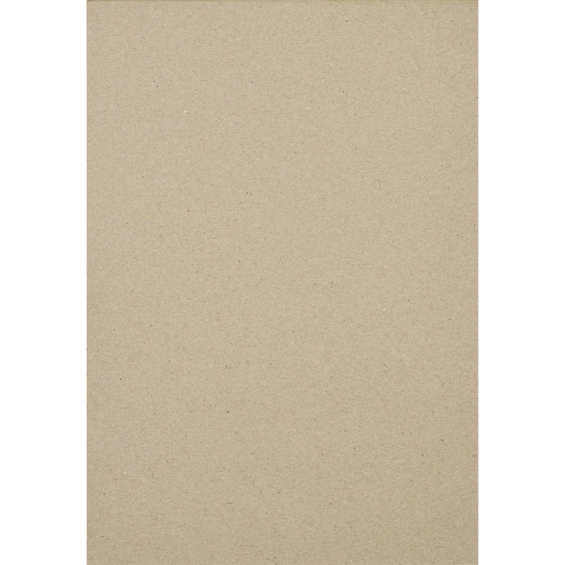 Картон цветной Выбор есть Отличник 10л 10цв А4 немелован.пакет