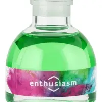 Диффузор ароматический с палочками Holi Enthusiasm, 50 мл