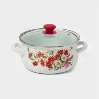 Набор кастрюль эмалированных &laquo;Астры-1-Экстра&raquo;, 3 предмета: 2 л, 3 л, 4 л, белый