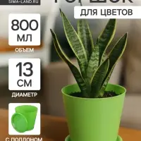 Горшок для орхидей с поддоном Доляна, 800 мл, пластиковый, цвет зелёный