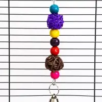 Игрушка для птиц &laquo;Гантели&raquo;, 15&times;8 см, цвет МИКС