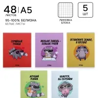 Тетради 5 штук, 48 листов в клетку Calligrata &laquo;Дерзкий енот&raquo;, обложка мелованный картон, блок офсет