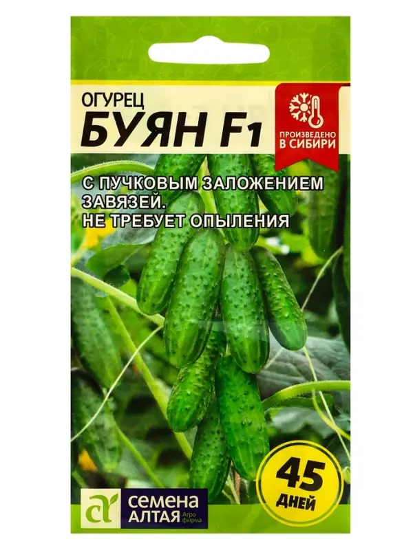 Семена огурца &laquo;Буян&raquo;, 5 шт., &laquo;Семена Алтая&raquo;