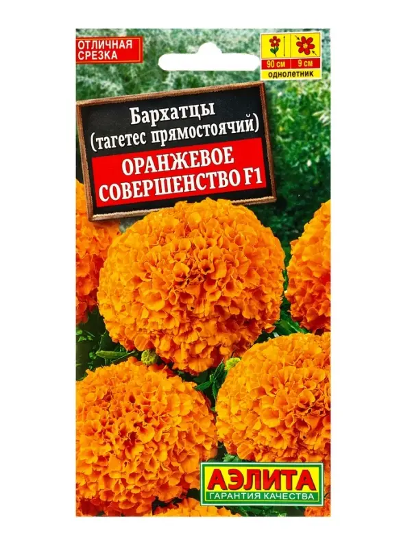Семена цветов Бархатцы Оранжевое совершенство F1 прямостоячие , Ц/П,10 шт. Семена цветов Бархатцы Оранжевое совершенство F1 прямостоячие , Ц/П,10 шт.