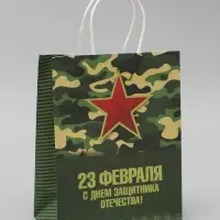 Пакет подарочный крафт &laquo;С 23 Февраля&raquo; 21&times;11&times;27 См