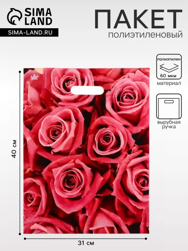 Пакет подарочный &laquo;Джейми&raquo;, полиэтиленовый с вырубной ручкой, л 40&times;31 см, 60 мкм