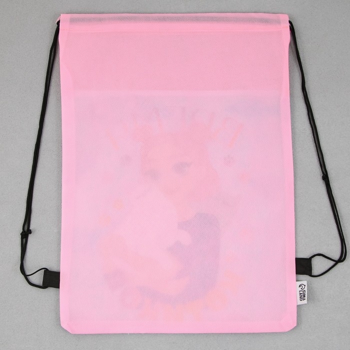 Мешок для обуви «Время котиков» нетканное полотно, размер 30 х 40 см Мешок для обуви «Время котиков» нетканное полотно, размер 30 х 40 см