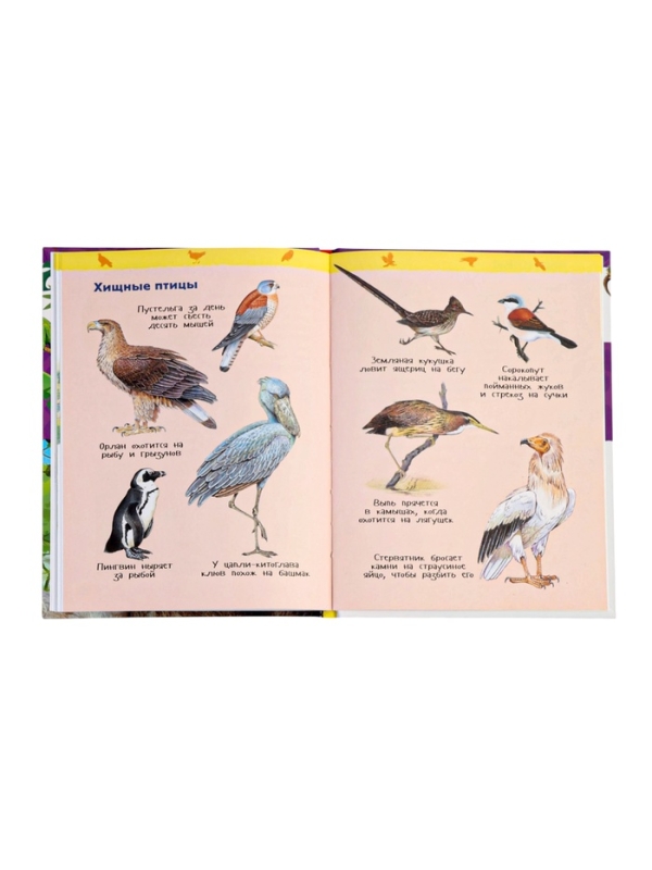 Детская энциклопедия Детская энциклопедия "Дикие животные"