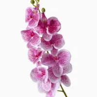 Цветы искусственные &laquo;Орхидея Тигровая&raquo;, h=90 см, бело-сиреневые