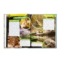 Энциклопедия «Аксолотль. Самые удивительные животные» 405007 Энциклопедия «Аксолотль. Самые удивительные животные» 405007