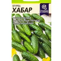 Семена Огурец &laquo;Хабар&raquo;, 0.3 г, &laquo;Семена Алтая&raquo;