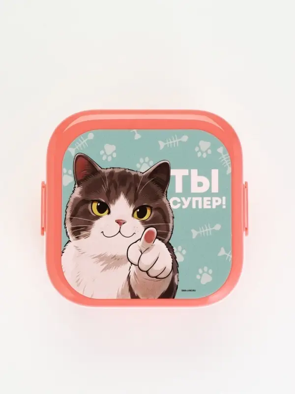 Ланч-бокс двухуровневый &laquo;Котик&raquo;, розовый, 700 мл