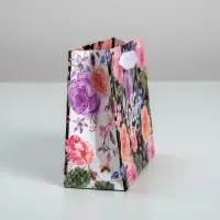 Пакет подарочный ламинированный, упаковка, &laquo;Чудес&raquo;, 12 х 15 х 5.5 см