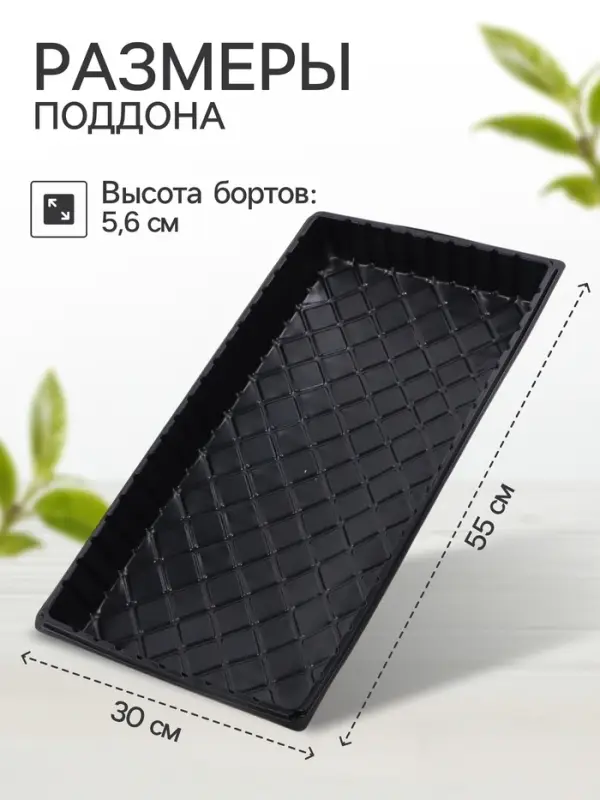 Поддон для рассады, 55&times;30&times;5.6 см, пластик, чёрный, дно МИКС, Greengo