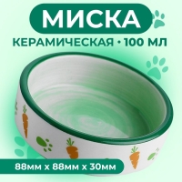 Миска керамическая с морковками 100 мл  8,8 х 8,8 х 3 см, белая/зелёная