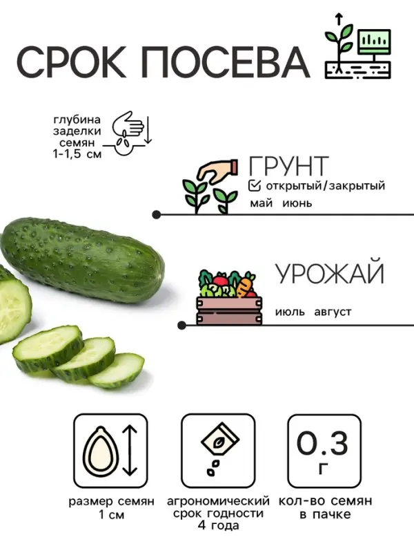 Семена Огурец &laquo;Изящный&raquo;, 0.3 г, &laquo;Рецепты дедушки Никиты&raquo;