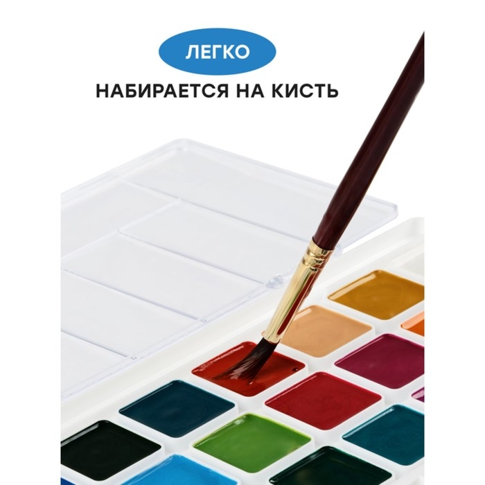 Акварель 24 цвета Гамма  Акварель 24 цвета Гамма "Классическая", без кисти, пластик, европодвес (1009198)