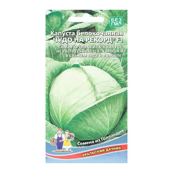 Семена Капусты белокочанной Семена Капусты белокочанной "Чудо на рекорд" F1 позднеспелый,крупнокочанный, 0,3 г