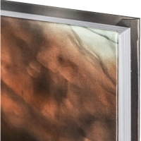 Ежедневник недатированный 7БЦ, пленка глянц., А5,128л, Выбор есть, Кошка