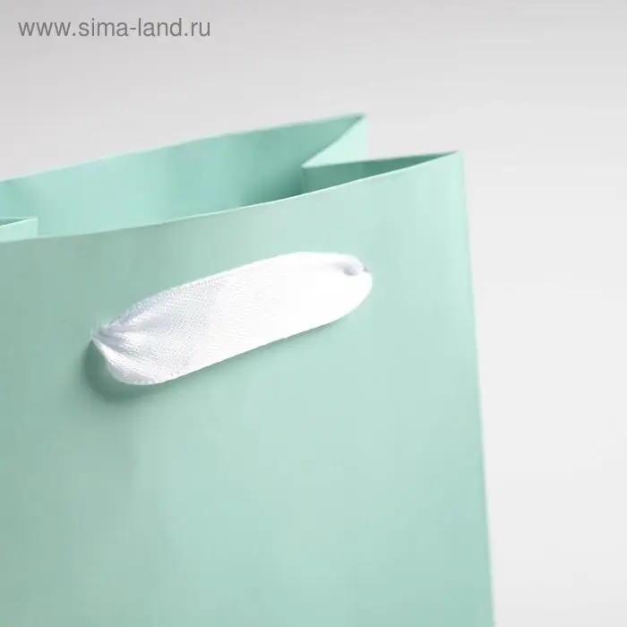 Пакет подарочный, упаковка, «Мятный», 12 х 15 х 5.5