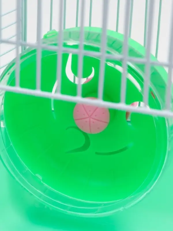 Клетка для грызунов &laquo;Пижон&raquo;, 23&times;17&times;26 см, эмаль, зелёная