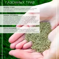 Семена Газонная травосмесь &laquo;Сибиряк&raquo;, 1 кг
