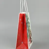 Пакет бумажный подарочный новогодний крафт &laquo;Белки&raquo; 15&times;21&times;8 см