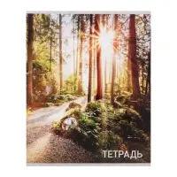 Набор тетрадей, 96 листов в клетку, Calligrata &laquo;Природа&raquo;, серые листы, 4 штуки