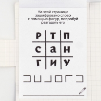 Подарочный набор в открытке: отрывной блок с заданиями и карандаши «Енот»